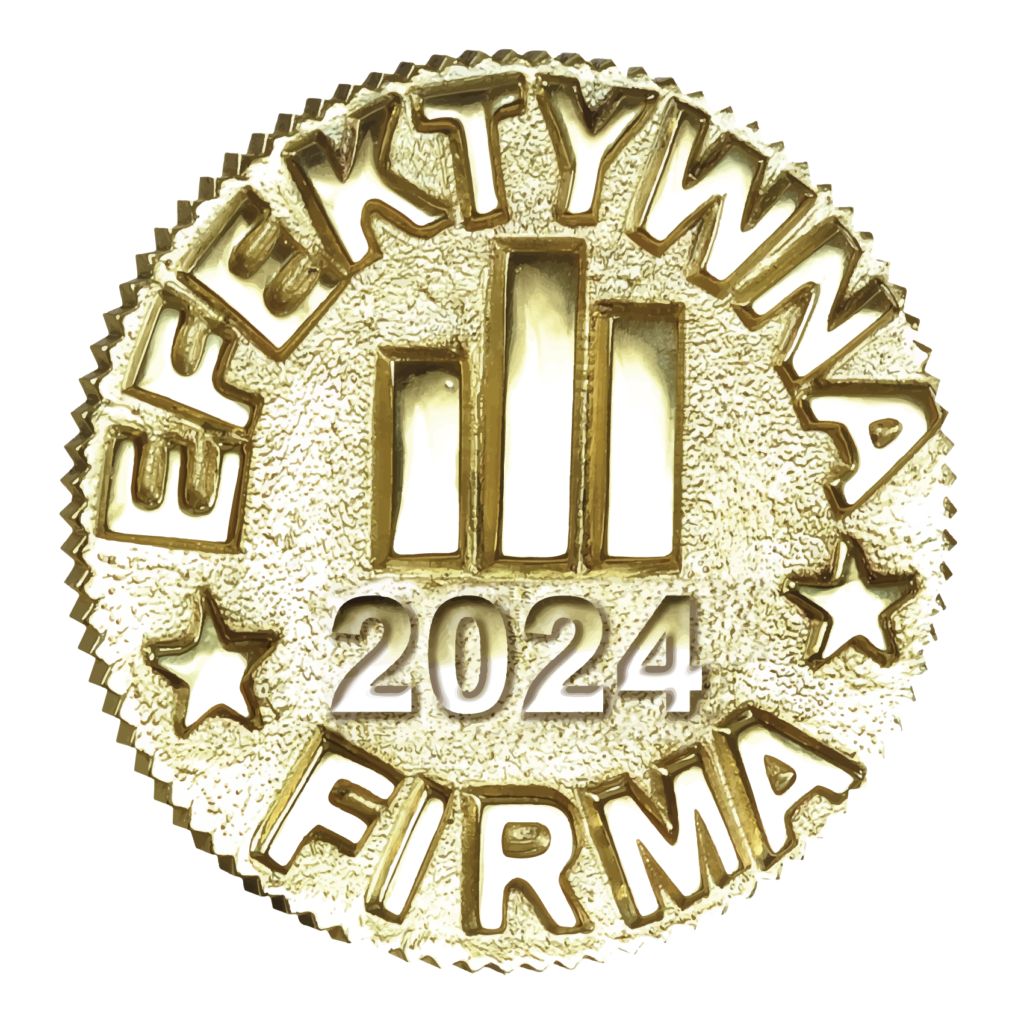 Efektywna Firma 2024